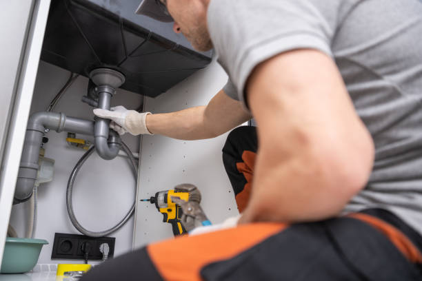 Best Local Plumber Services  in Piednt, MO